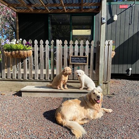 Willows Reach Lodge Kumeu Esterno foto