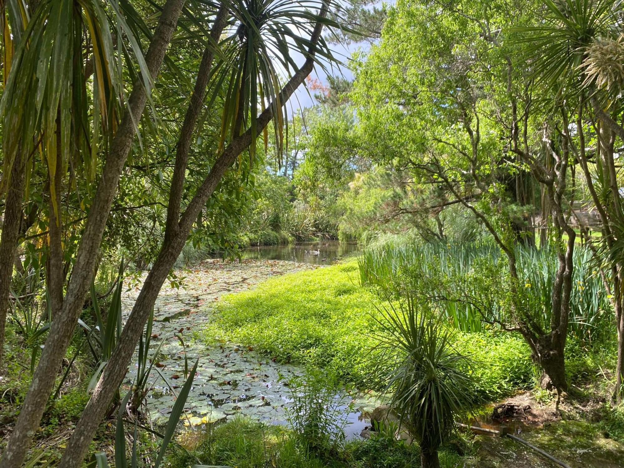 Willows Reach Lodge Kumeu Esterno foto