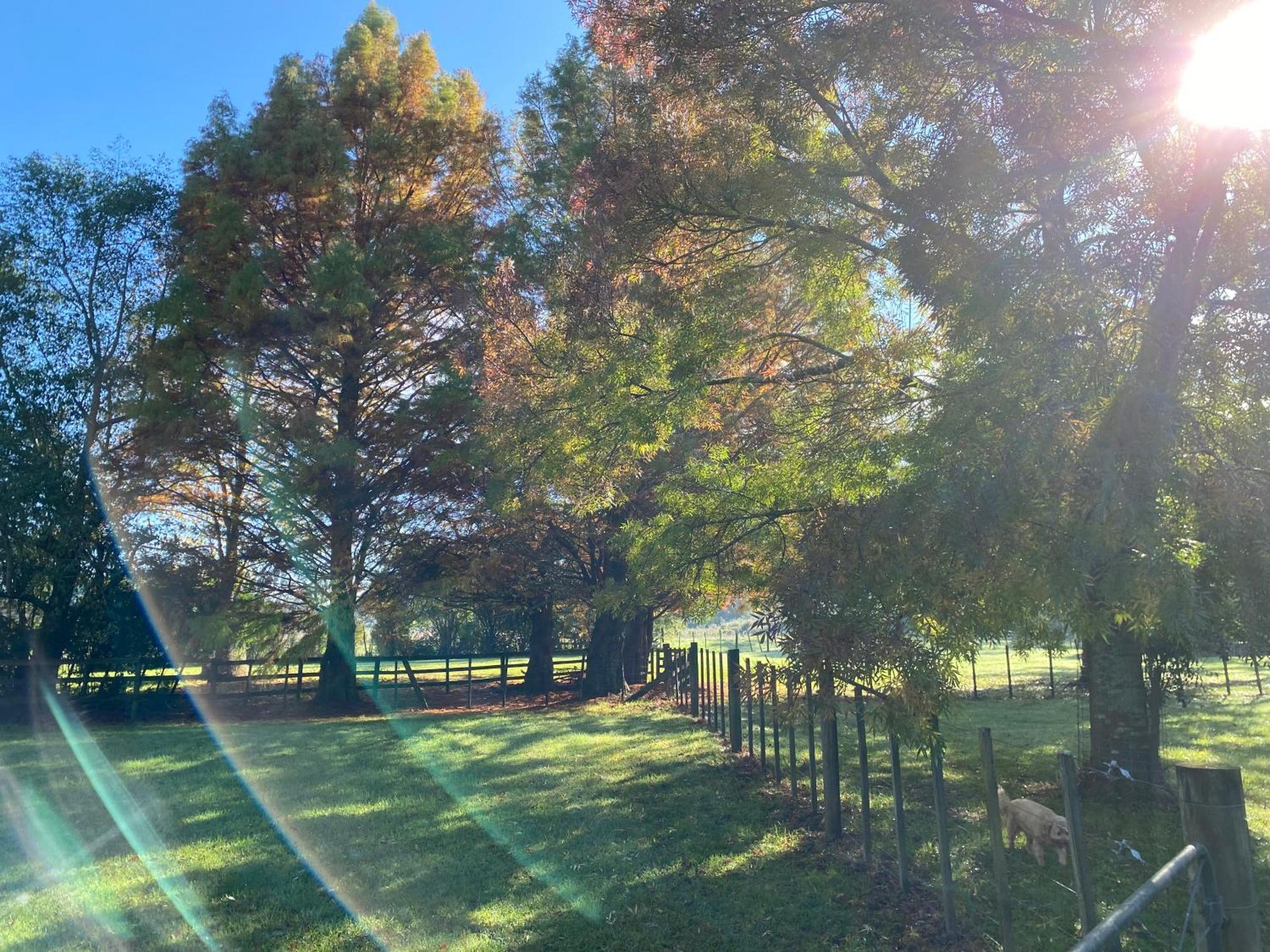 Willows Reach Lodge Kumeu Esterno foto